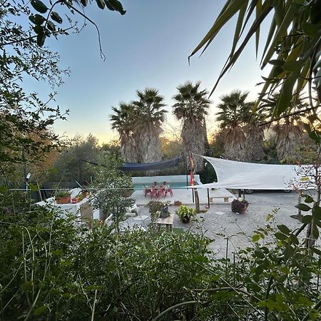 Loft Independiente "La Casita Del Olivo Centenario" Córdoba Eksteriør billede