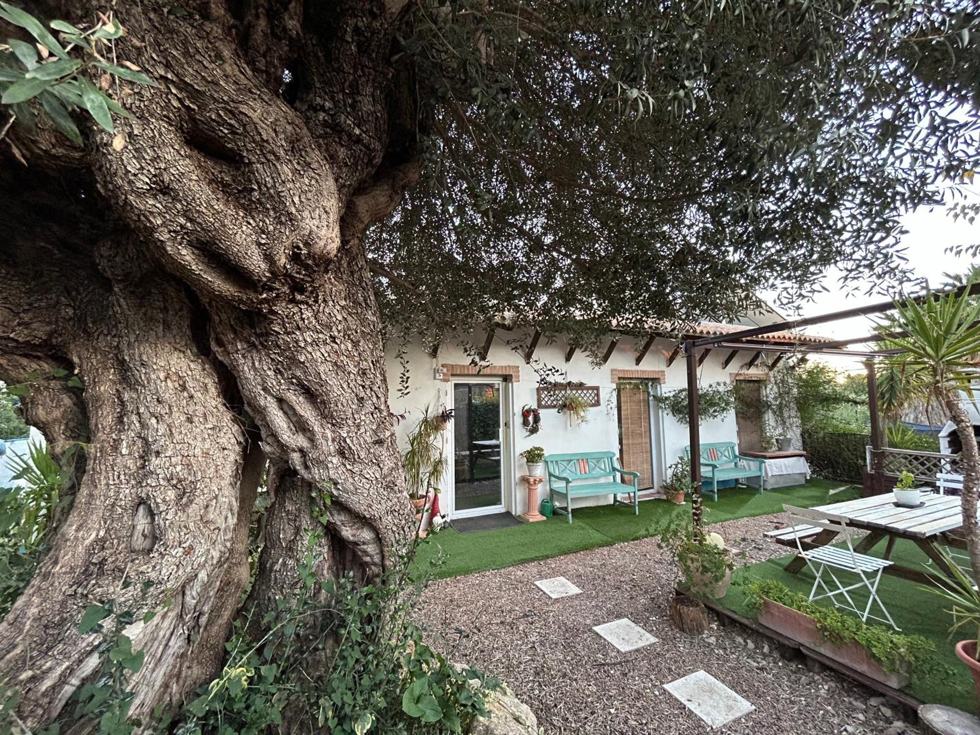 Loft Independiente "La Casita Del Olivo Centenario" Córdoba Eksteriør billede