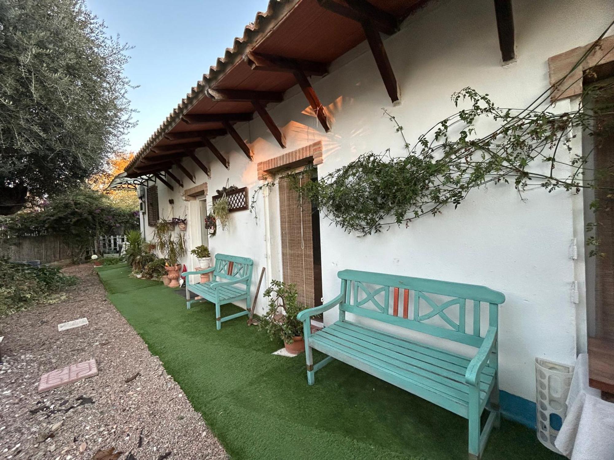 Loft Independiente "La Casita Del Olivo Centenario" Córdoba Eksteriør billede